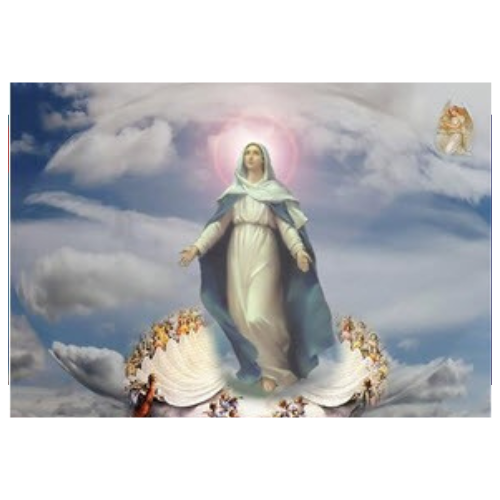 “Đức Mẹ Hồn Xác Lên Trời” hay “Đức Mẹ Xác Hồn Lên Trời”?